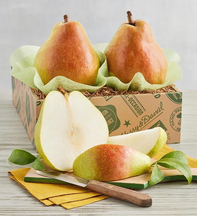 Giant Royal Riviera® Pear Duo